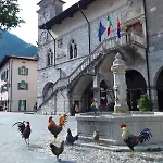 Palazzo Gattolini * فينزوني